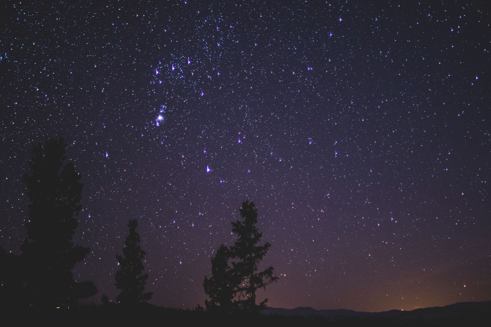 A night sky full of stars with a constellation rising over silhouetted pine trees